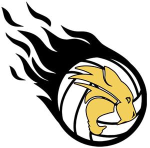 vb logo 